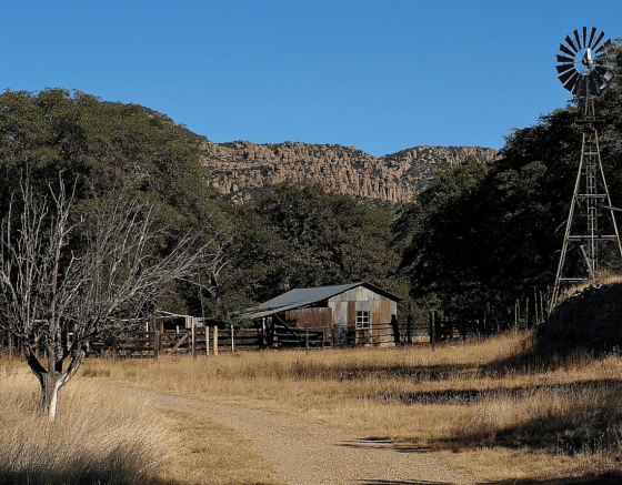 Screenshot 2022 11 10 at 7. 11. 06 am 777x437